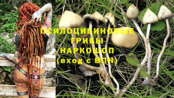 spice Волоколамск