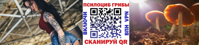 Псилоцибиновые грибы GOLDEN TEACHER  магазин продажи   Березники 