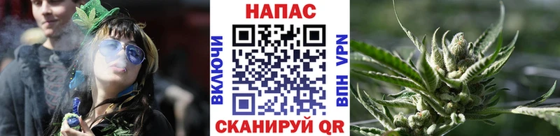 ОМГ ОМГ ТОР  Березники  МАРИХУАНА Amnesia 